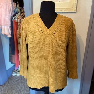 Soft Ladies SZ Lg Sonoma Sweater